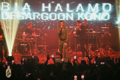 DSC1593-Enhanced-NR-2-