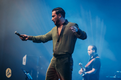 DSC1917-Enhanced-NR-